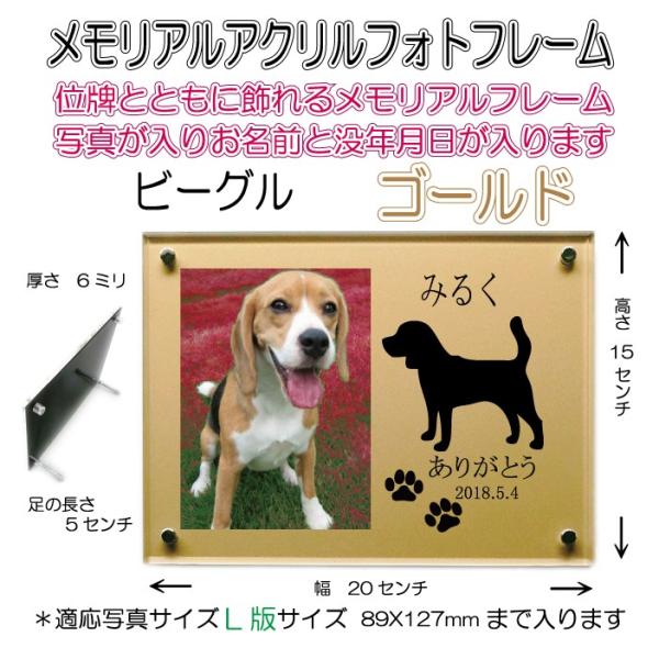 񂿂񖼓ꃁAANtHgt[ r[O S[h7020beagle-go