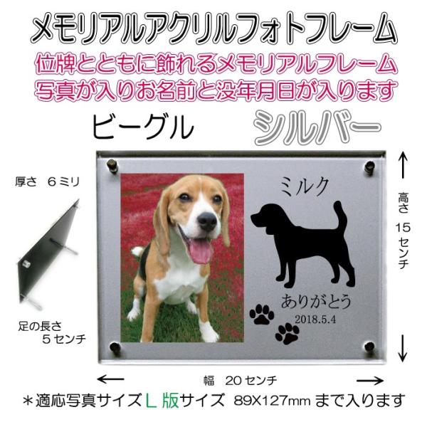 񂿂񖼓ꃁAANtHgt[ r[O Vo[7020beagle-si