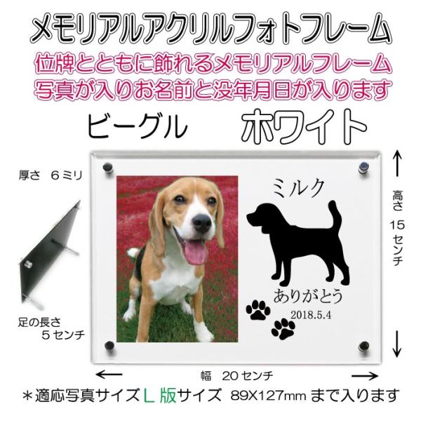񂿂񖼓ꃁAANtHgt[ r[O zCg7020beagle-wh