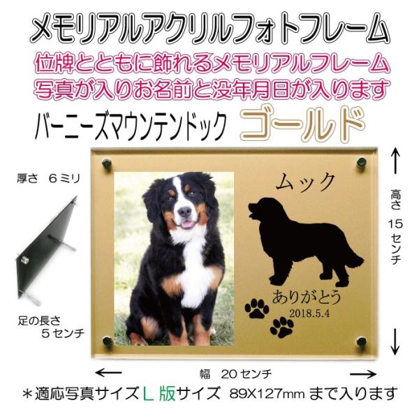 񂿂񖼓ꃁAANtHgt[ o[j[Y}EehbO S[h7020bernesemountaindog-go