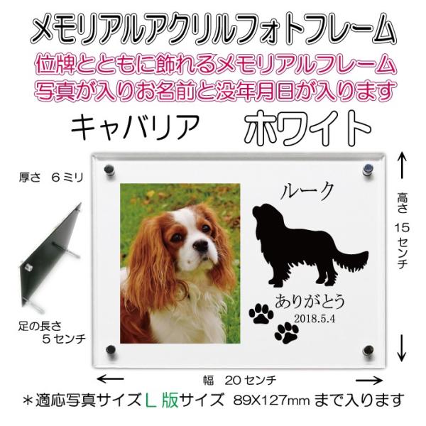 񂿂񖼓ꃁAANtHgt[ LoA zCg7020cavalier-wh