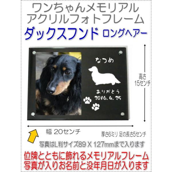 񂿂񖼓ꃁAANtHgt[ _bNXthOwA[ ubN7020dachs-bk