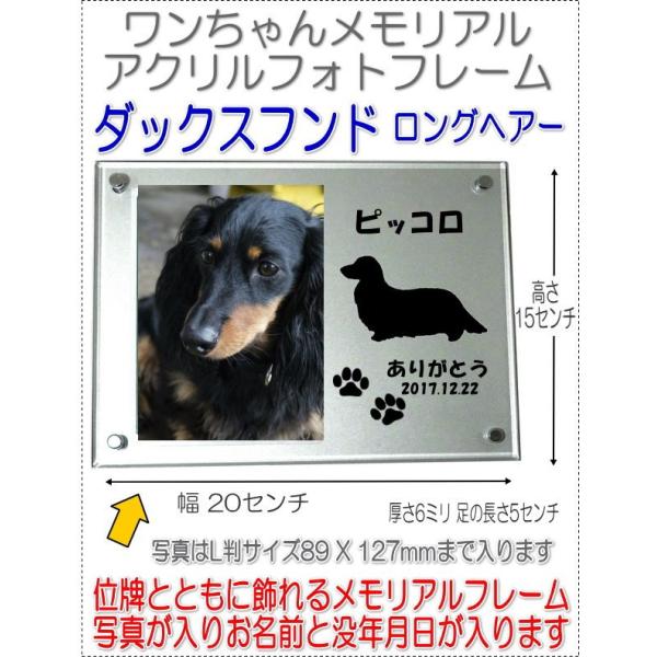 񂿂񖼓ꃁAANtHgt[ _bNXthOwA[ Vo[7020dachs-sl