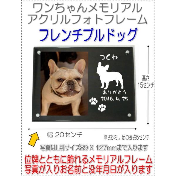 񂿂񖼓ꃁAVGbgANtHgt[ t`uhbO ubN7020fbull-b