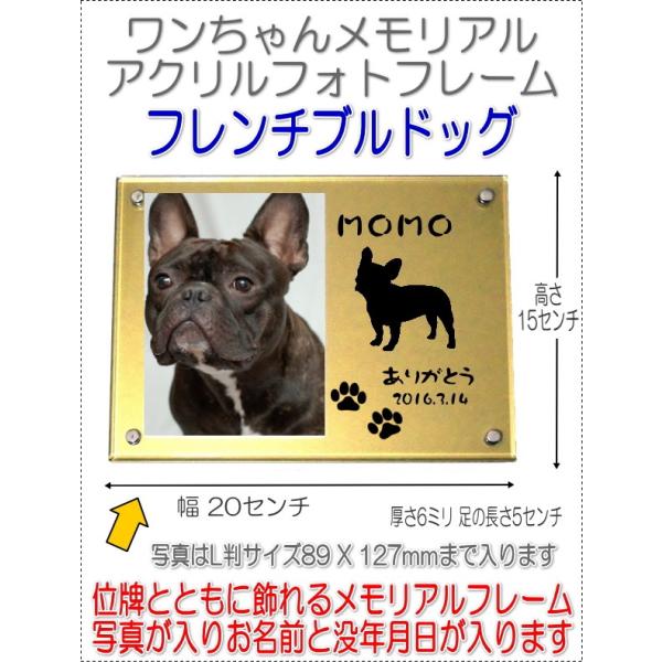 񂿂񖼓ꃁAVGbgANtHgt[ t`uhbOS[h7020fbull-g