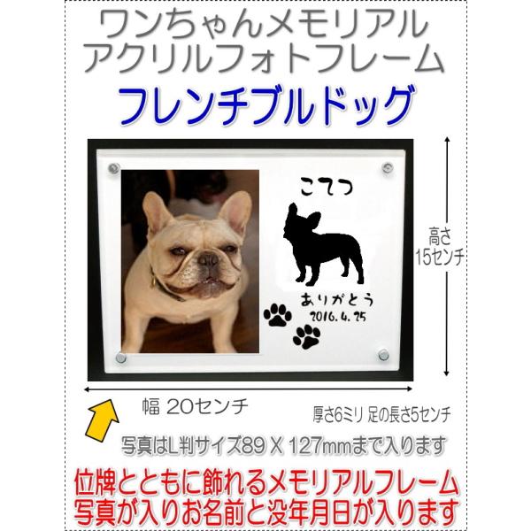 񂿂񖼓ꃁAVGbgANtHgt[ t`uhbOzCg7020fbull-w