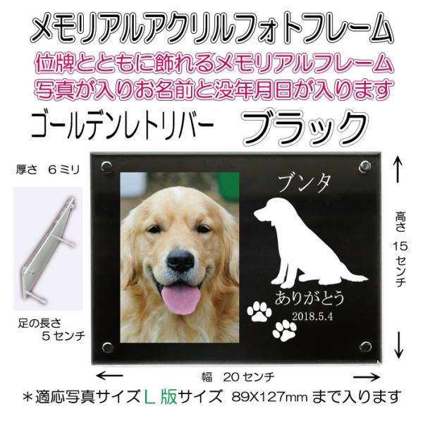񂿂񖼓ꃁAANtHgt[ S[fgo[ ubN7020goldenretriever-bk