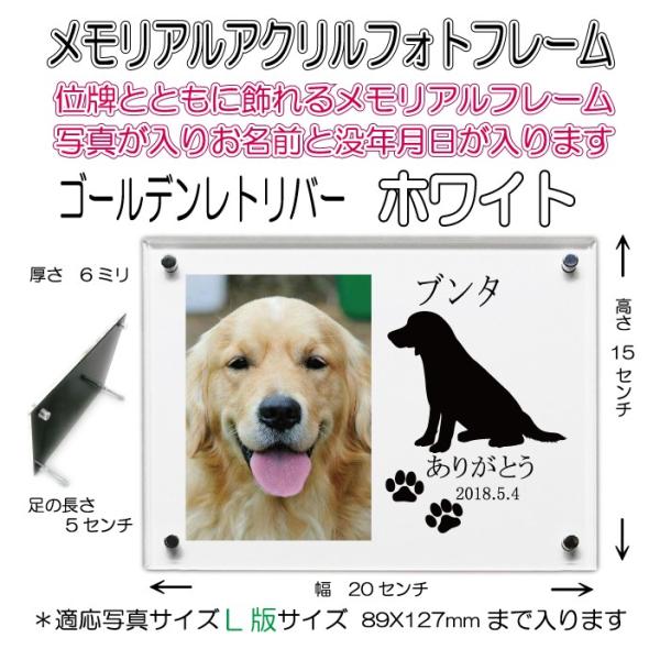 񂿂񖼓ꃁAANtHgt[ S[fgo[ zCg7020goldenretriever-wh