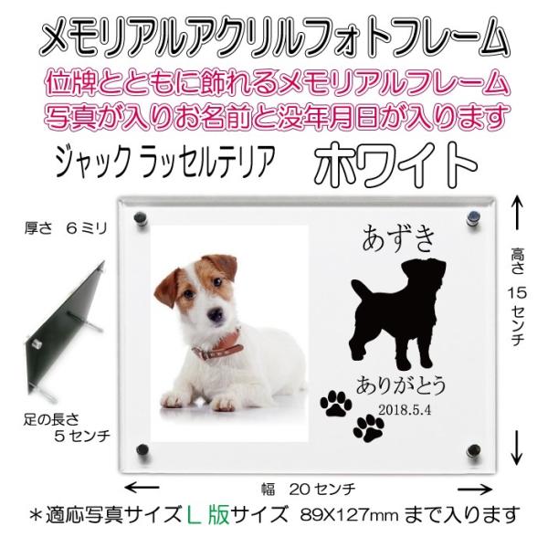 񂿂񖼓ꃁAANtHgt[ WbNbZeA zCg7020jackrussellterrier-wh