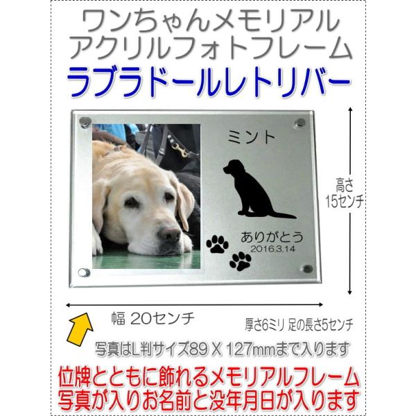 񂿂񖼓ꃁAANtHgt[ uh[g[o[ Vo[7020lab-s