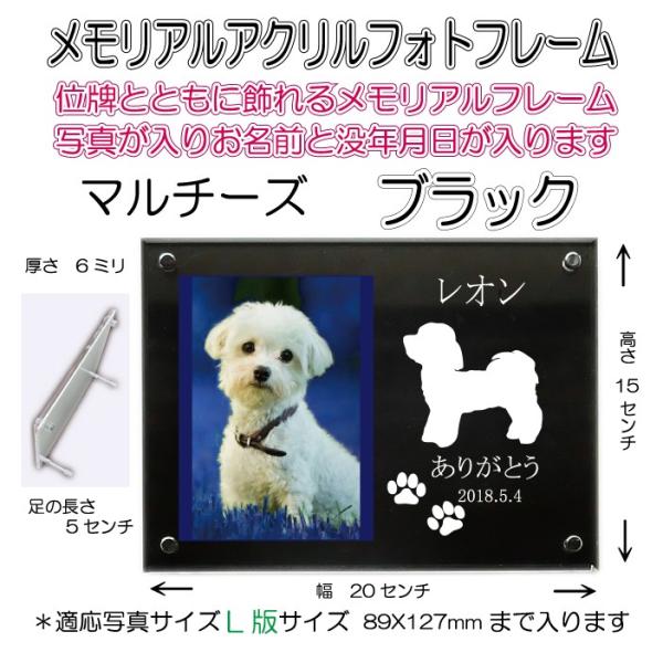 񂿂񖼓ꃁAANtHgt[ }`[Y ubN7020maltese-bk