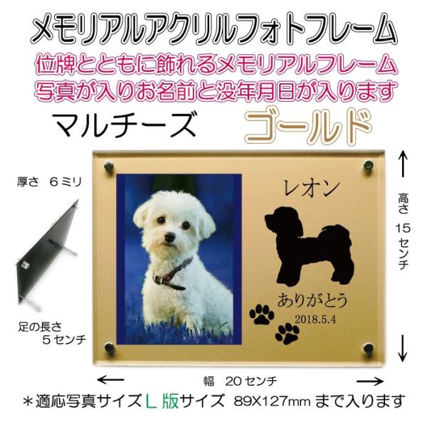 񂿂񖼓ꃁAANtHgt[ }`[Y S[h7020maltese-go