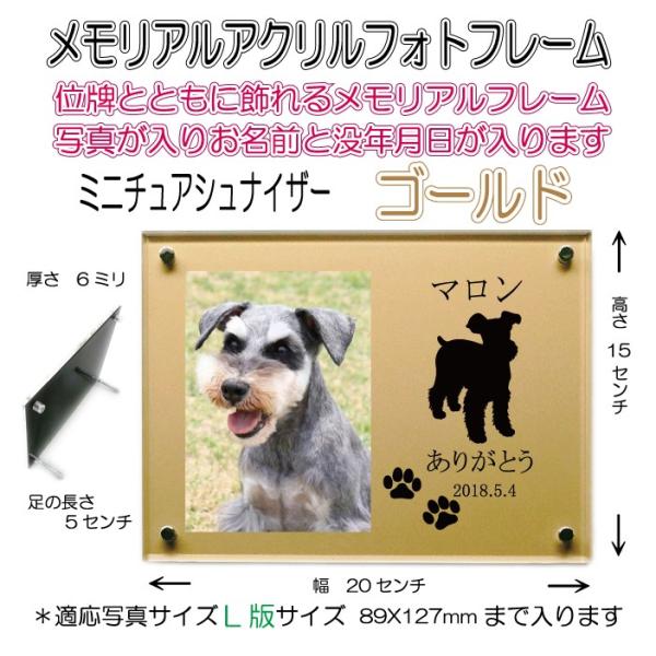 񂿂񖼓ꃁAANtHgt[ ~j`AViCU[ S[h7020msch-go