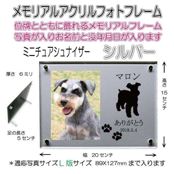 񂿂񖼓ꃁAANtHgt[ ~j`AViCU[ Vo[7020msch-si