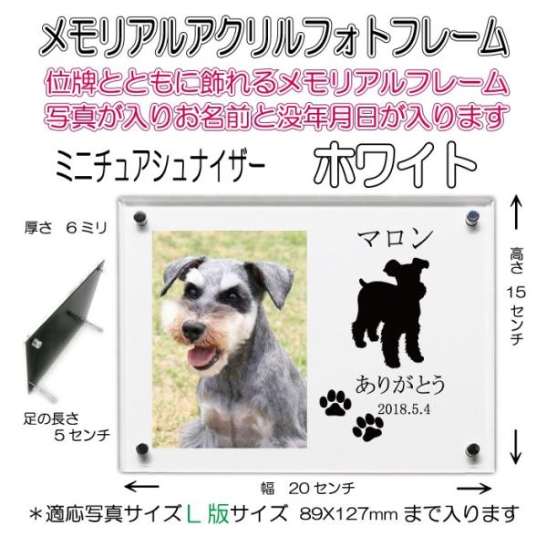 񂿂񖼓ꃁAANtHgt[ ~j`AViCU[ zCg7020msch-wh