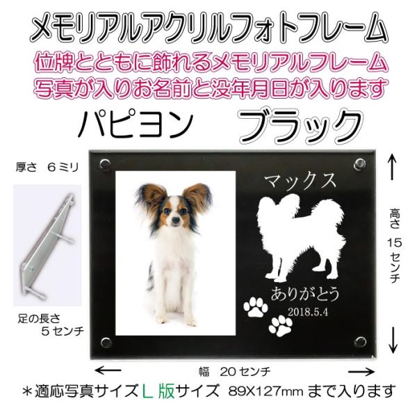 񂿂񖼓ꃁAANtHgt[ ps ubN7020Papillon-bk