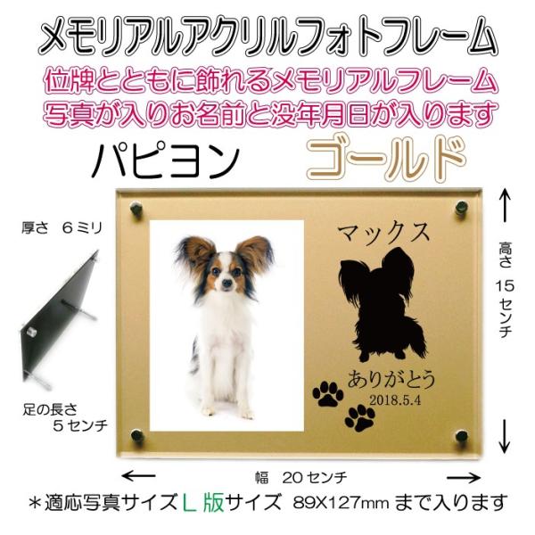 񂿂񖼓ꃁAANtHgt[ ps S[h7020Papillon-go