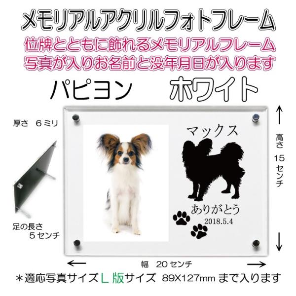 񂿂񖼓ꃁAANtHgt[ ps zCg7020Papillon-wh