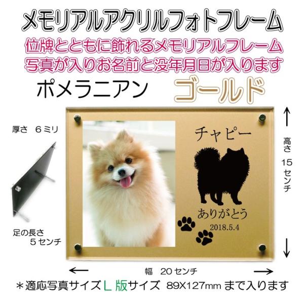 񂿂񖼓ꃁAANtHgt[ |jA S[h7020pome-go