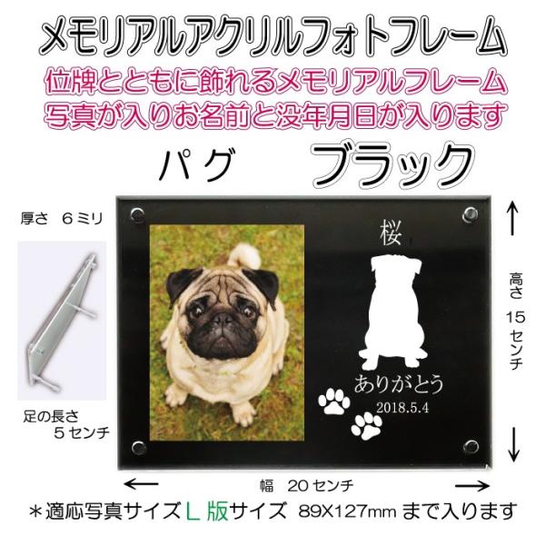 񂿂񖼓ꃁAANtHgt[ pO ubN7020pug-b