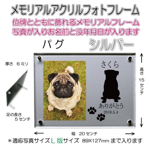 񂿂񖼓ꃁAANtHgt[ pO Vo[7020pug-s