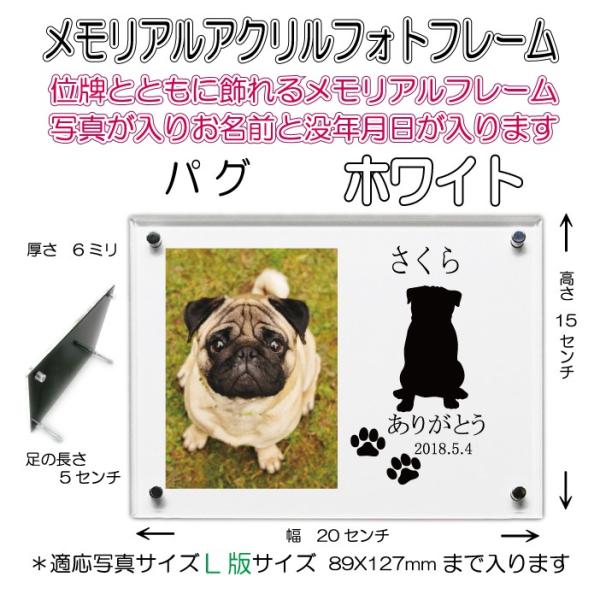 񂿂񖼓ꃁAANtHgt[ pO zCg7020pug-w