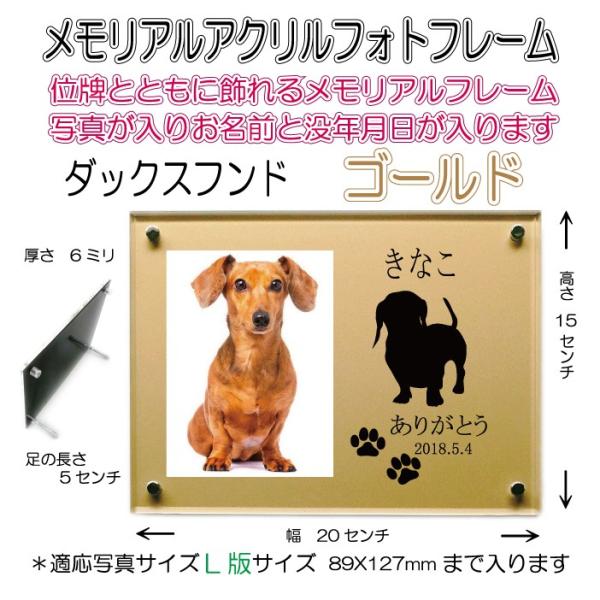 񂿂񖼓ꃁAANtHgt[ _bNXth S[h7020s-dachshund-go