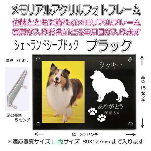 񂿂񖼓ꃁAANtHgt[ VFbghV[vhbN ubN7020shetlandsheepdog-bk