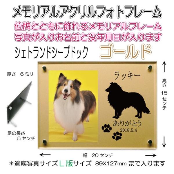 񂿂񖼓ꃁAANtHgt[ VFbghV[vhbN S[h7020shetlandsheepdog-go