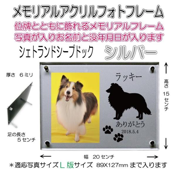 񂿂񖼓ꃁAANtHgt[ VFbghV[vhbN Vo[7020shetlandsheepdog-si