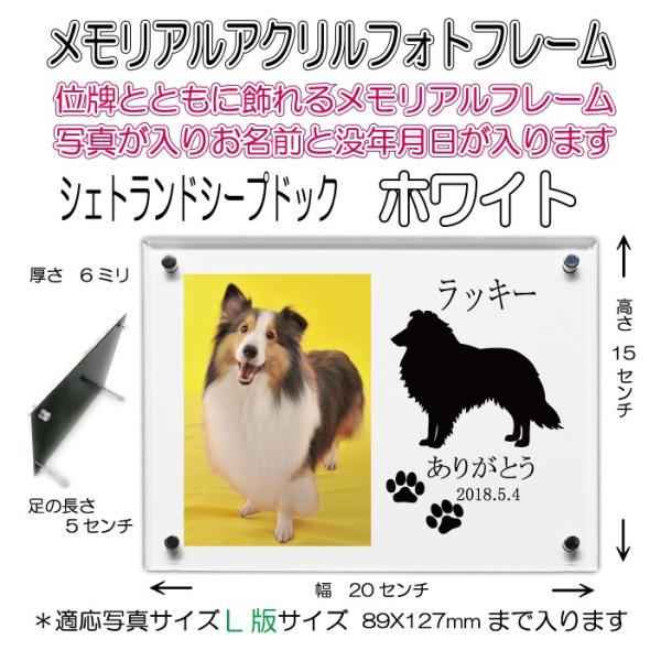񂿂񖼓ꃁAANtHgt[ VFbghV[vhbN zCg7020shetlandsheepdog-wh