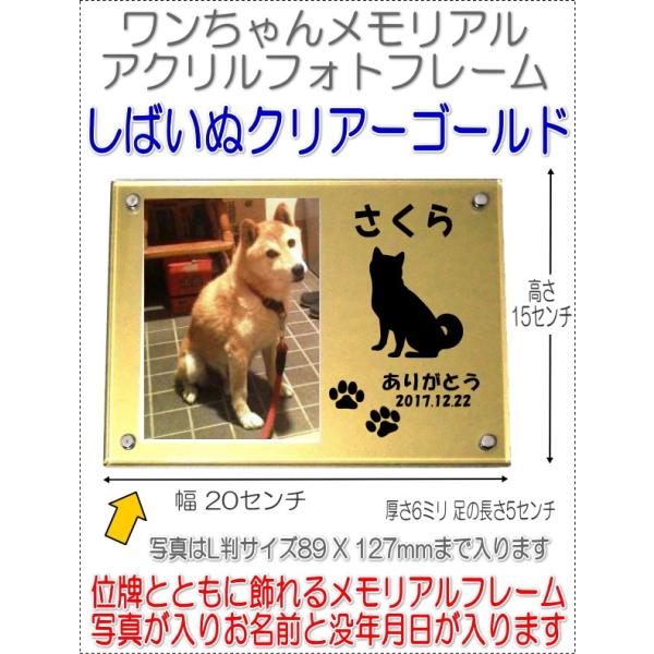 񂿂񖼓ꃁAANtHgt[ Č S[h7020shiba-go