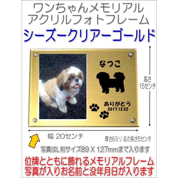 񂿂񖼓ꃁAANtHgt[V[Y[S[h7020shihtzu-g