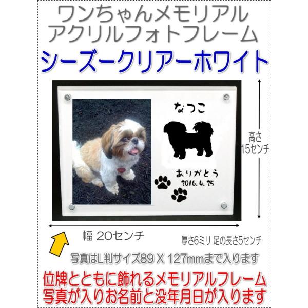 񂿂񖼓ꃁAANtHgt[V[Y[zCg7020shihtzu-w
