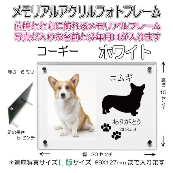 񂿂񖼓ꃁAANtHgt[ EFVR[M[ zCg7020welshcorgi-wh