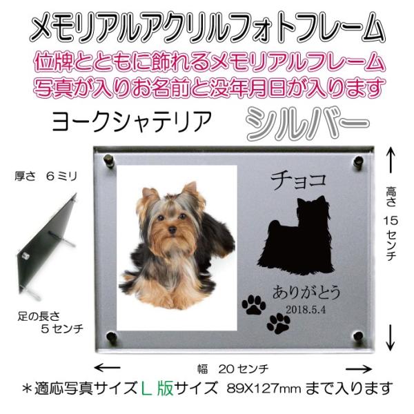 񂿂񖼓ꃁAANtHgt[ [NV[eA Vo[7020yterr-si