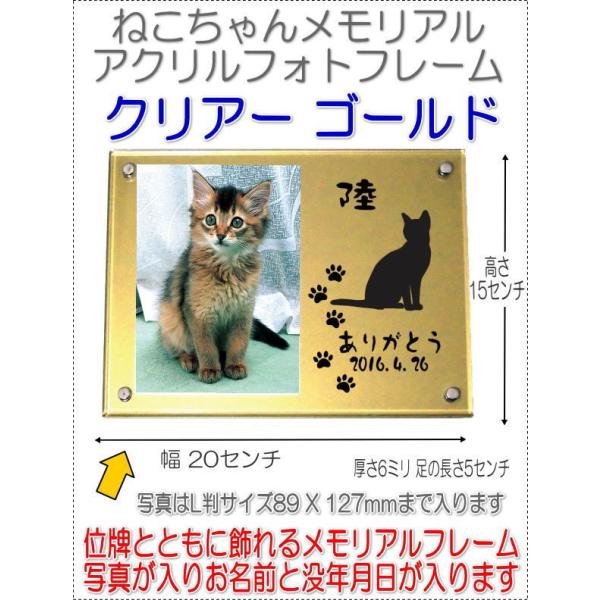 ˂񖼓ꃁAVGbgANtHgt[ S[h7021go