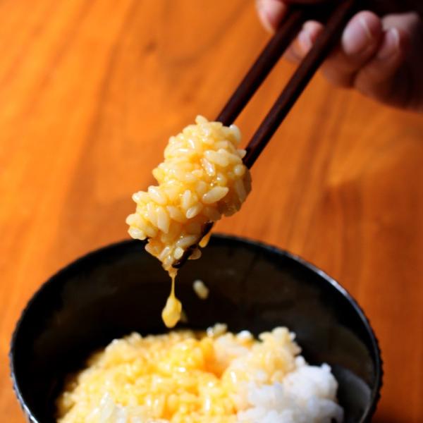 ご飯 箸 お箸の人気商品 通販 価格比較 価格 Com