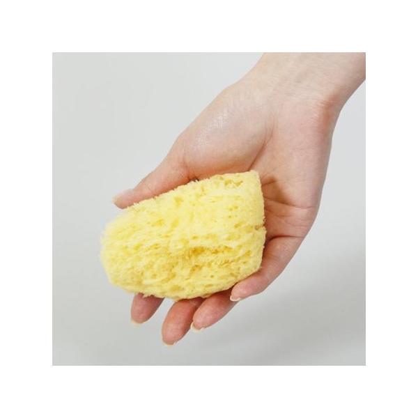 海綿スポンジ　世界最大？ phezzan_ok-45025015