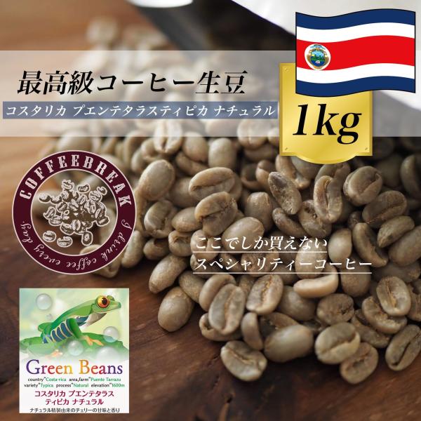 コーヒー生豆 1Kg コスタリカ プエンテタラス ティピカ ナチュラル