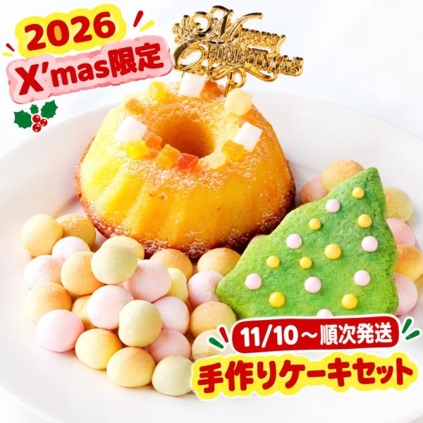 【予約商品】 犬用 手作りケーキセット クリスマス ケーキ おやつ 2026 Xmas限定 デコレーション ツリー ボーロ 北海道産素材 (11月10日から順次発送) 常温