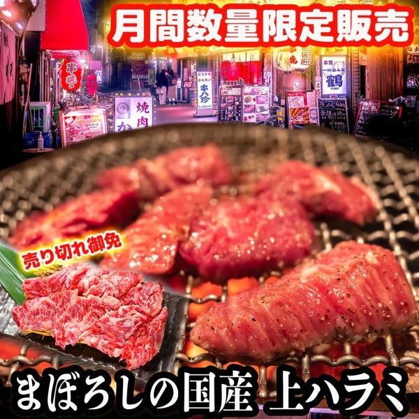 【月間数量60個限定販売】 希少な 国産牛 牛ハラミ 大阪鶴橋 400g(200g×2p) BBQ 焼肉用 ハラミ ホルモン 上ハラミ 牛肉 高級 肉ギフト