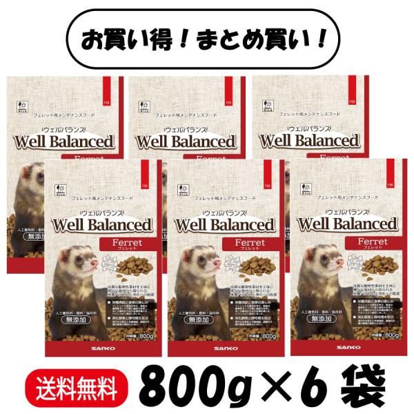 爆買 まとめ買い 三晃商会 ウェルバランス フェレットフード 800g ×6