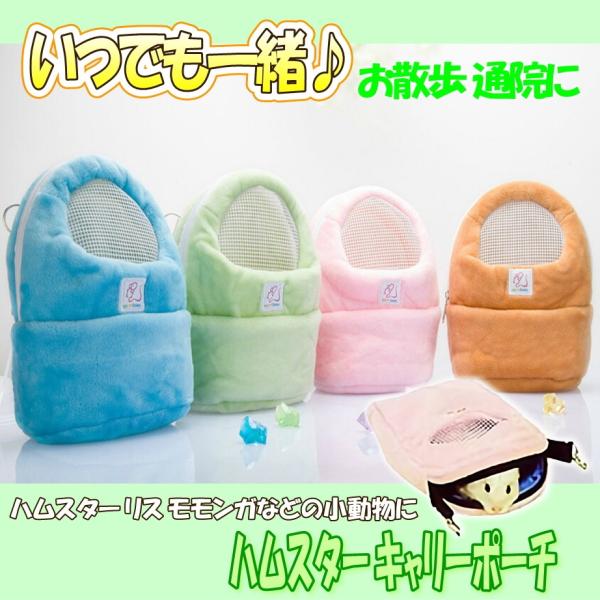 このメッシュポーチがあれば、いつでもどこでも一緒♪メッシュなので、中の様子が見えて安心です。病院通いなどにも便利！フックが付いているので、お家ではケージにひっかけて使うのも良いですね♪【カラー】ブルー/グリーン/ピンク/オレンジ【サイズ】S...