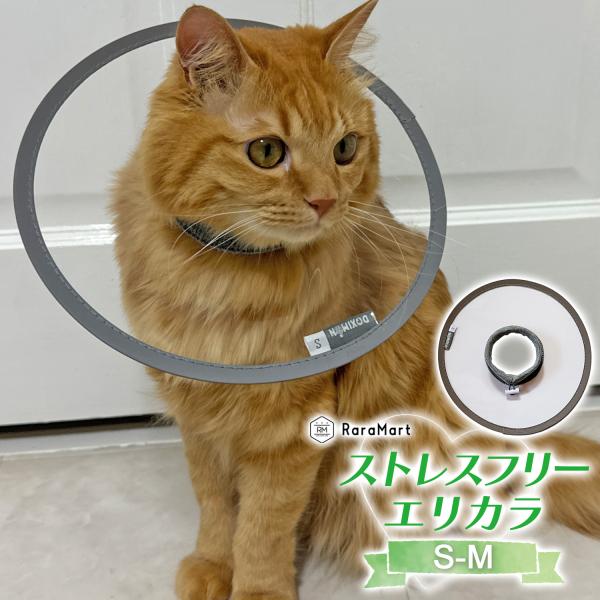視界を邪魔せずストレス軽減！エリザベスカラーの悩みあれこれ解消するストレスフリーエリカラ【ストレスフリー】一般的な筒状のものは、カラーの先端がぶつかって歩きにくかったり、また、筒状のカラーだと、距離を測ったり平衡感覚のバランスを測ったりする...