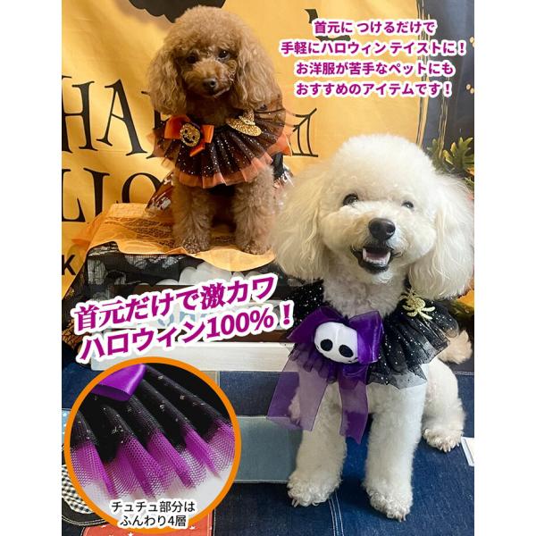 �� �n���E�B�� �L �X�^�C  ���� �L�� �y�b�g ���� �ȒP���� ���^�� ������� ���킢�� �n���E�B���p�[�e�B SNS �B�e��  /�y�b�g �n���E�B�� �`���`���J���[ ���i�摜1