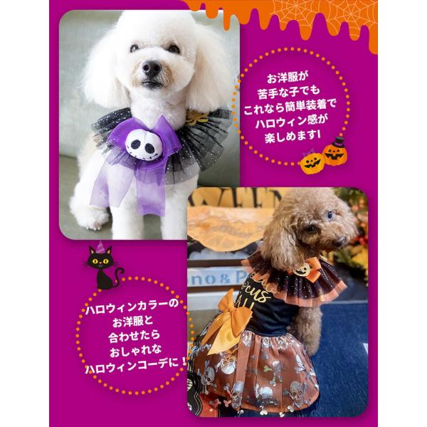 �� �n���E�B�� �L �X�^�C  ���� �L�� �y�b�g ���� �ȒP���� ���^�� ������� ���킢�� �n���E�B���p�[�e�B SNS �B�e��  /�y�b�g �n���E�B�� �`���`���J���[ ���i�摜2