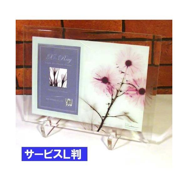 押し花 フレーム ガラスの人気商品 通販 価格比較 価格 Com