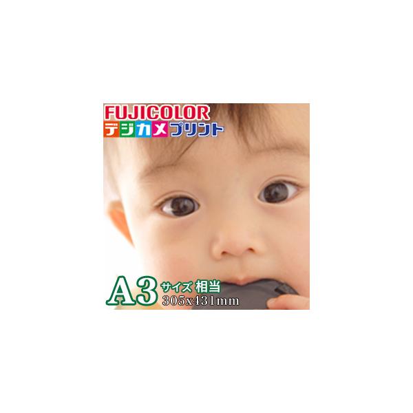 【1500円以上送料無料】フジカラープリント：A3サイズ相当(305mmx431mm) 最短即日にフジカラー純正の写真を発送いたします。きれい仕上げフジカラープリント純正薬品材料使用しております。写真メーカーならではの超高画質な“銀写真プリ...