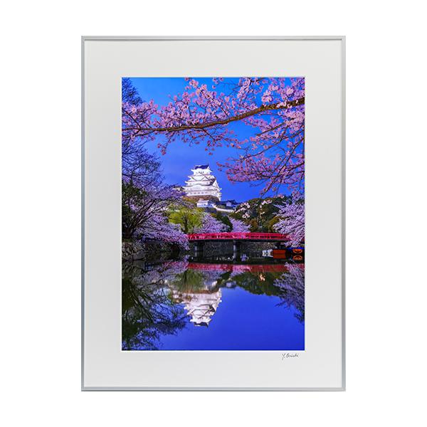 A3ノビ304 夕暮れの内堀に映る姫路城　3~10日で発送致します。